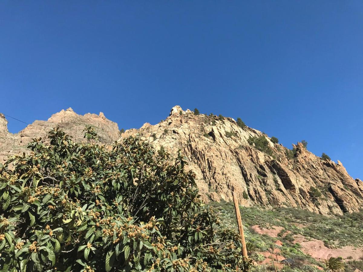 Finca La Sabina Risco Blanco Exteriér fotografie